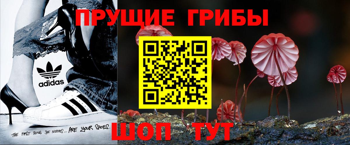 Отрадный  Псилоцибиновые грибы Cubensis  Вход с VPN 