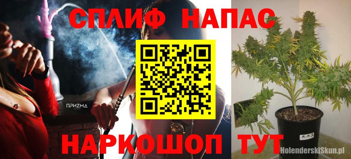 Конопля гибрид Отрадный